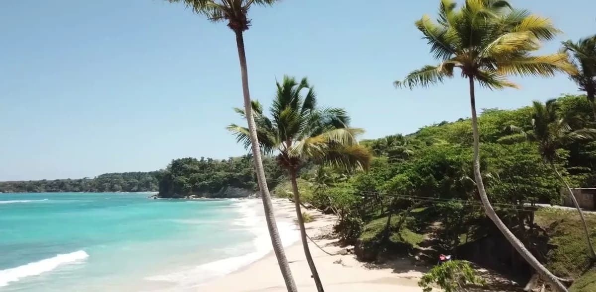 Palm-lined beach with turquoise water